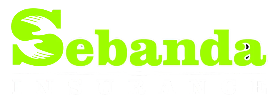 Sebanda Insurance · Agencia de seguros en Florida desde 2012